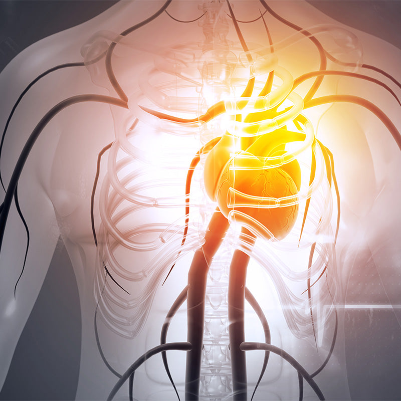 Cardio-Health