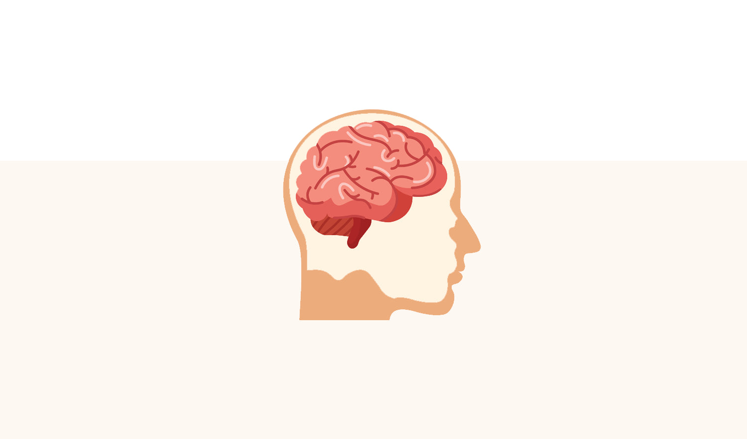 Diagram of the brain hippocampus