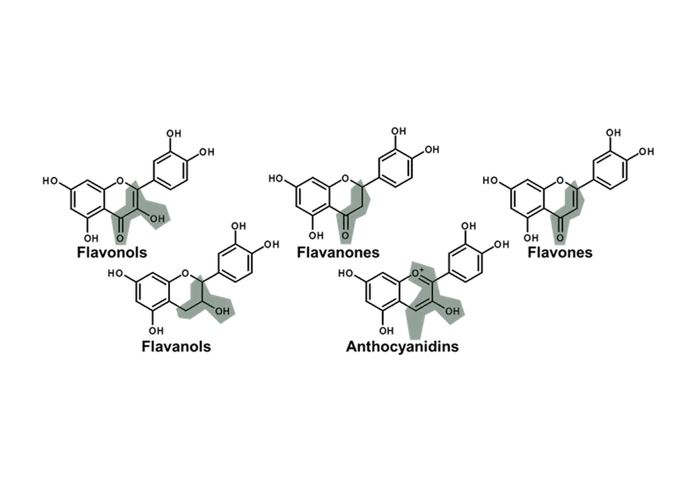 Flavanols, Flavanones, Anthocyanidins & Flavones Chemical Structure