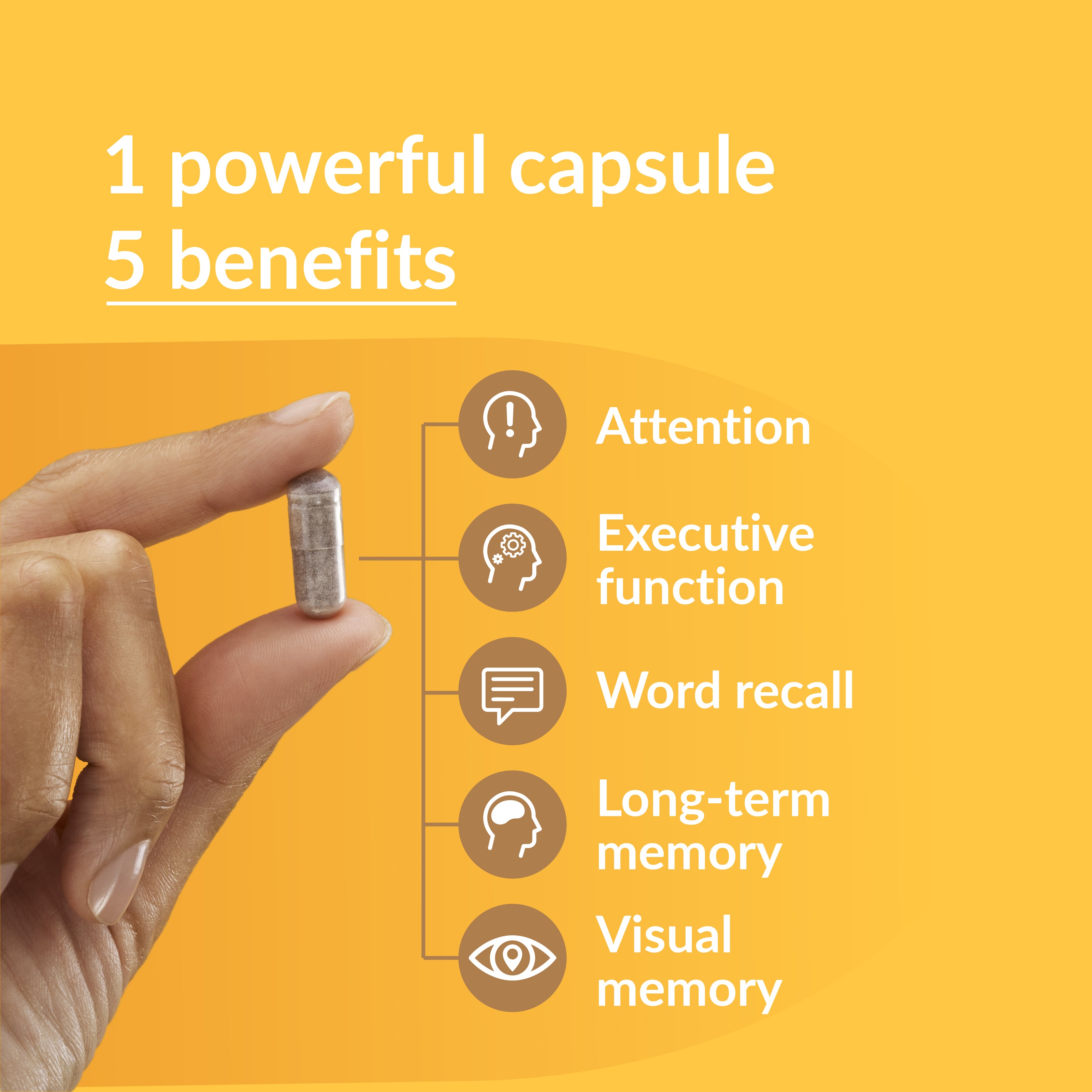 1 powerful capsule, 5 benefits. Attention. Executive Function. Word Recall. Long-term memory. Visual Memory