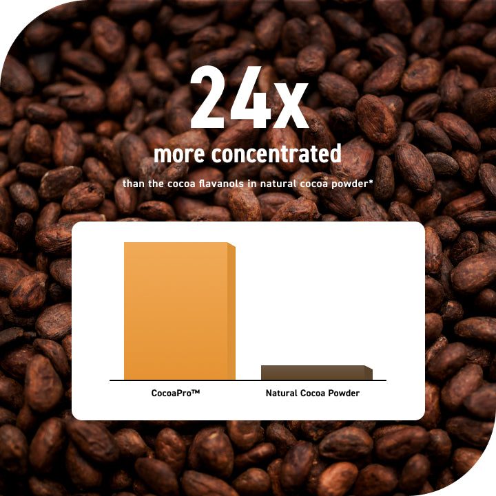 24X more concentrated than the cocoa flavanols in natural cocoa powder
