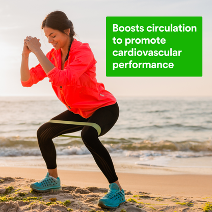 CocoaVia™ 500mg  Cocoa Flavanols Powder Stick Packs