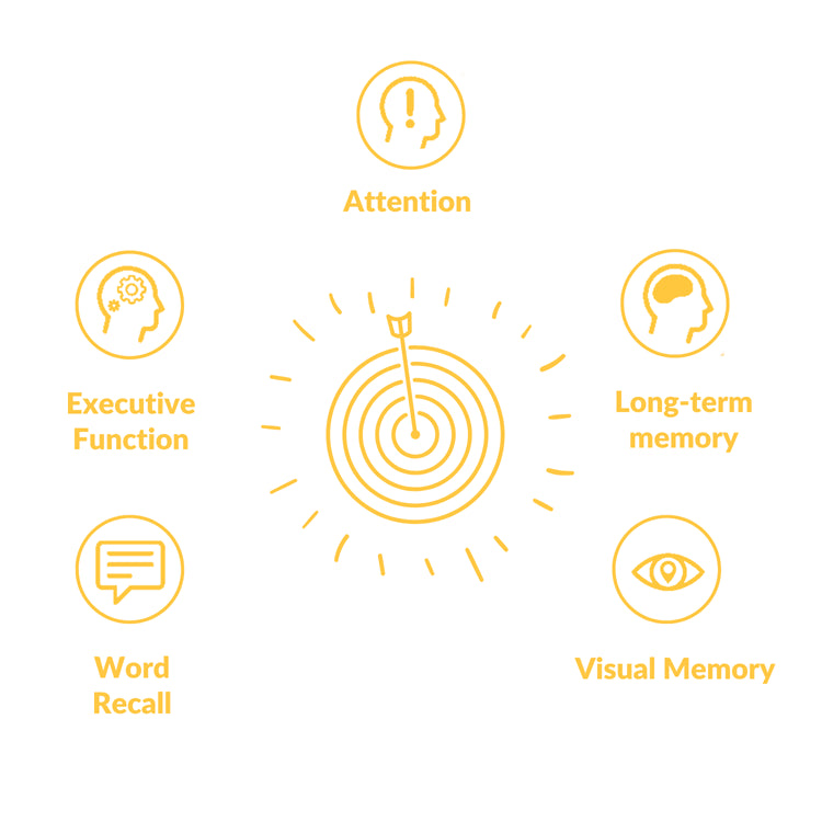 Attention. Long-term memory. Visual Memory. Word Recall. Executive Function