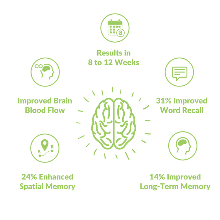 Results in 8 to 12 weeks. 31% Improved Word Recall. 14% Improved Long-Term Memory. 24% Enhanced Spatial Memory. Improved Brain Blood Flow.