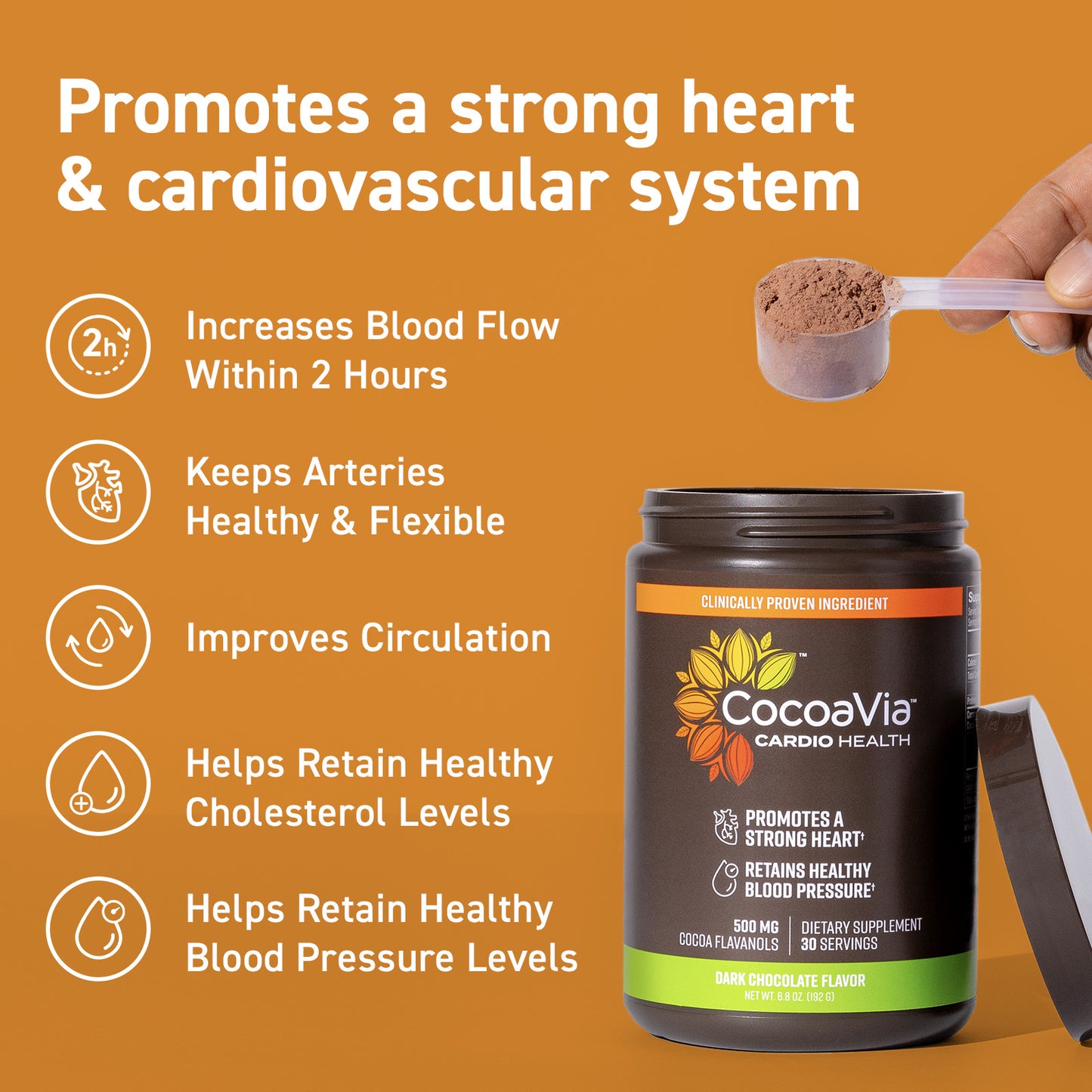 Promotes a strong heart & cardiovascular system. Increases Blood Flow within 2 hours. Improves circulation. Helps retain healthy cholsterol levels. Keeps arteries healthy & flexible. 
