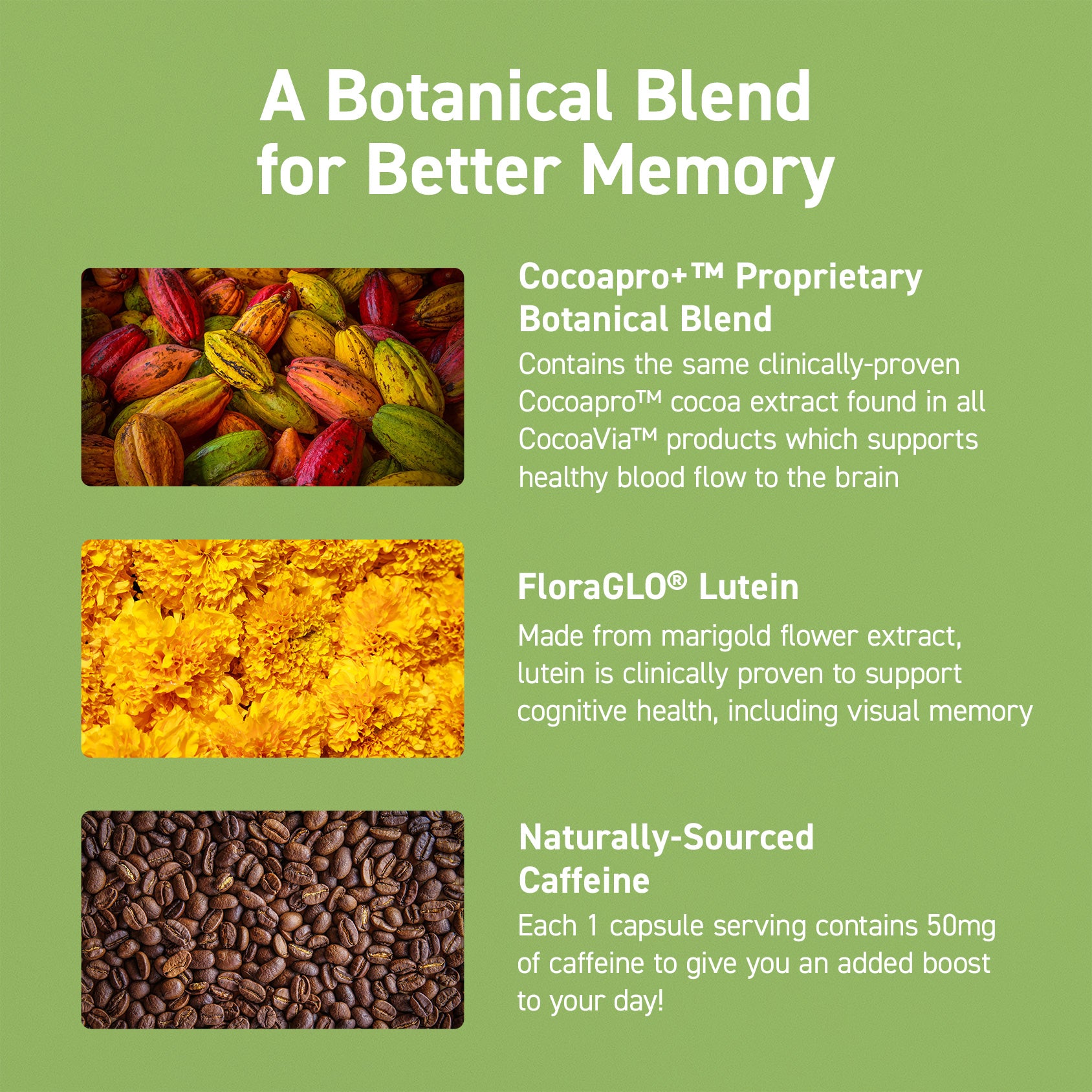 a botanical blend for better memory: Cocoapro propreitary botanical blend. contains the same clinically proven cocoapro cocoa extract found in all CocoaVia products to support healthy blood flow to the brain. Floraglo lutein: made from marigold flower extract, lutein is clinically proven to support cognitive health, including visual memory. +Plus Naturally-sourced caffeine. Each 1 capsule serving contains 50mg of caffeine to give you an added boost to your day!