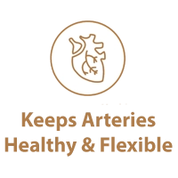 Keeps Arteries Healthy & Flexible