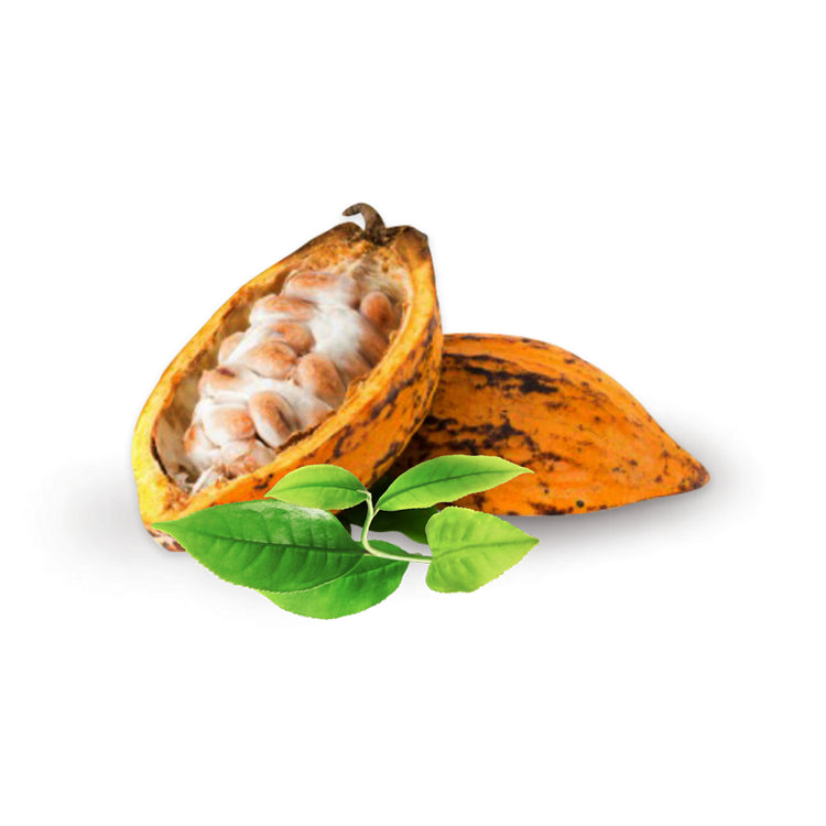 Cocoa Pod