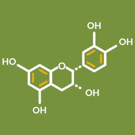 Flavanols Chemical Structure