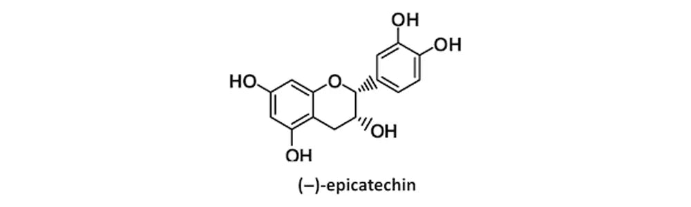 EPicatechin Chemical Structure