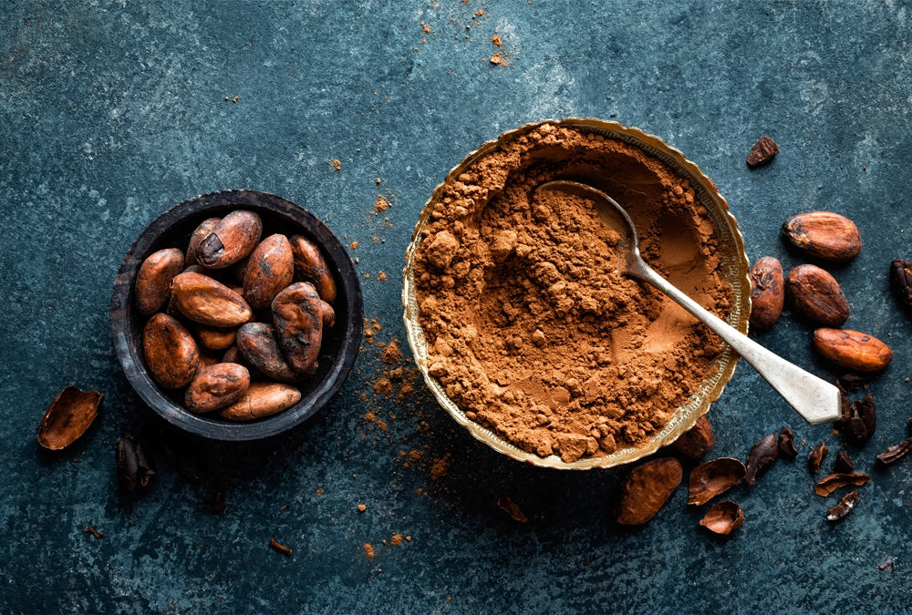 Cocoa pods and cocoa powder in a cup