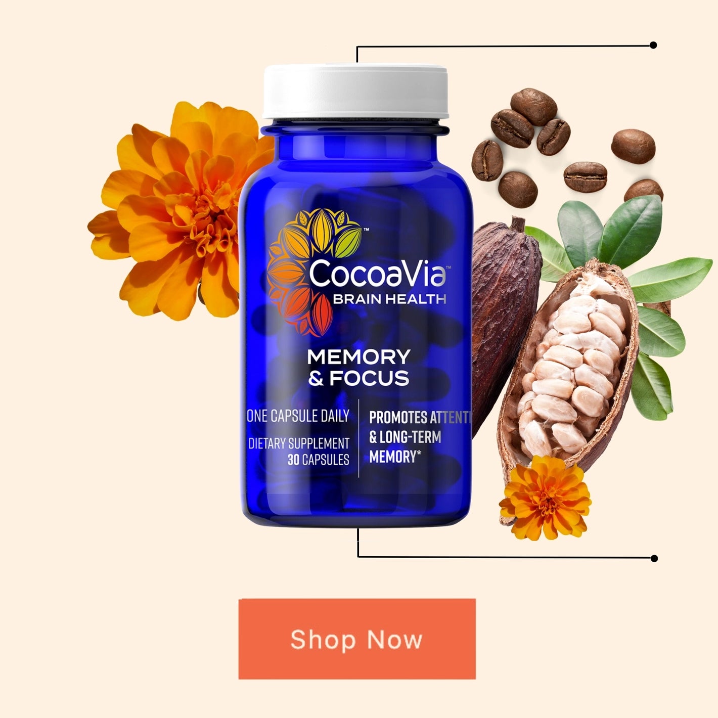 CocoaVia Memory & Focus Bottle With Cocoa Pod, Marigold Flower and coffee beans. 