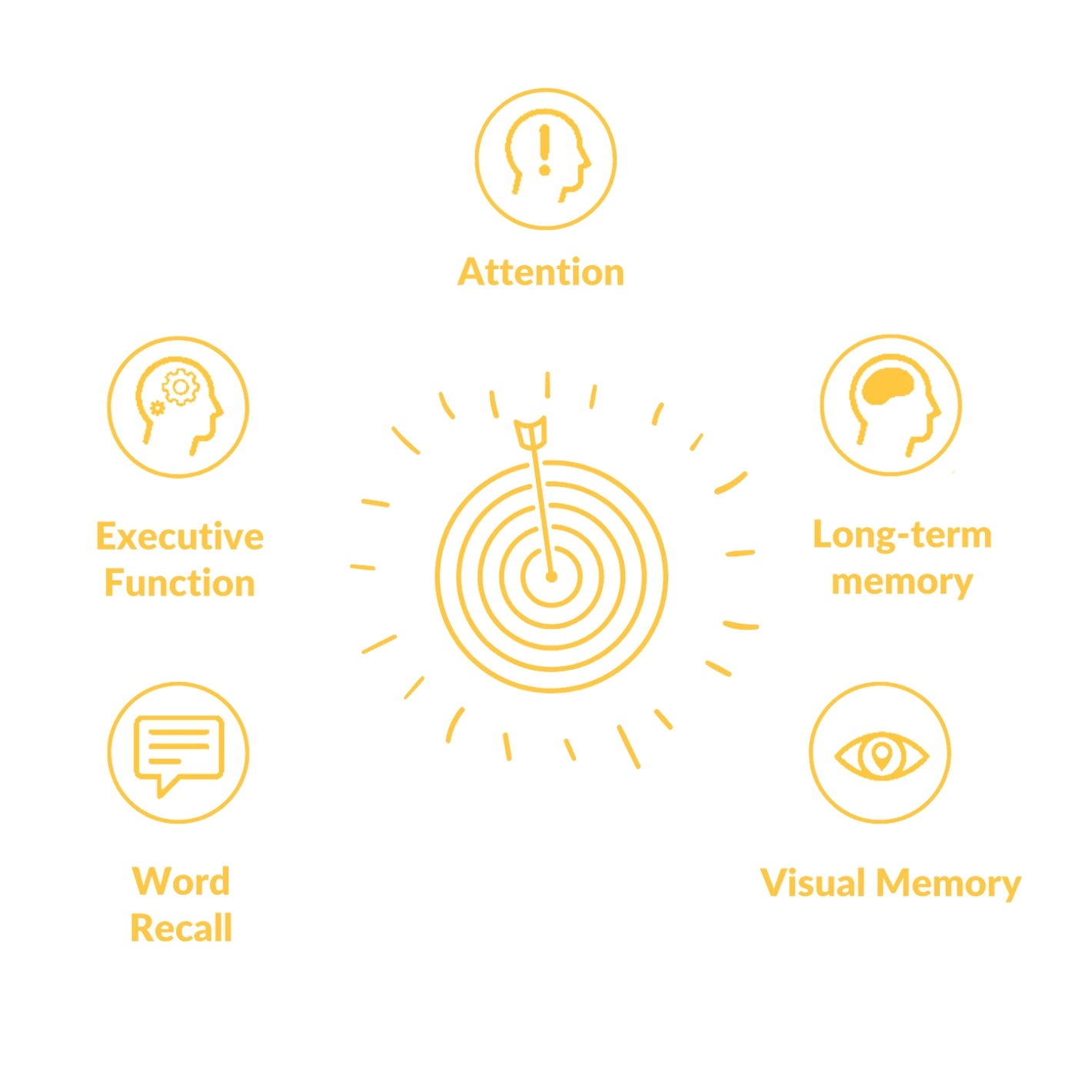 Attention. Long-term memory. Visual Memory. Word Recall. Executive Function
