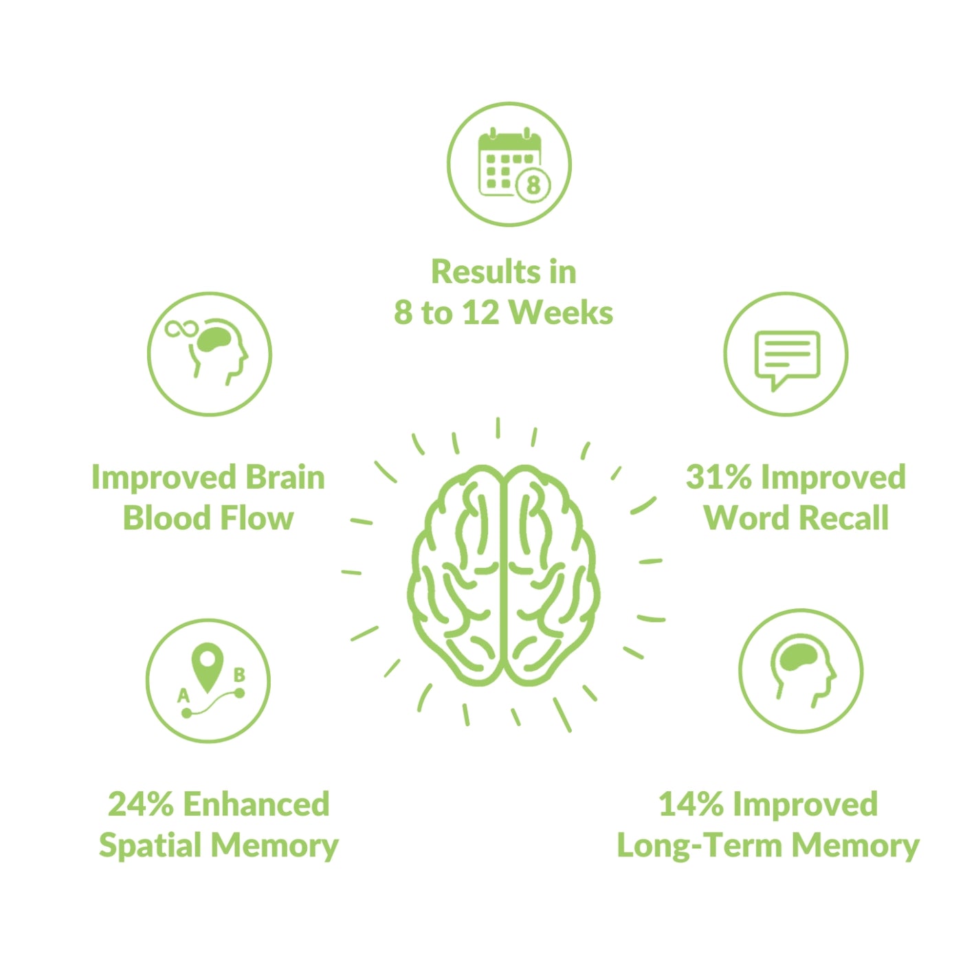 Results in 8 to 12 weeks. 31% Improved Word Recall. 14% Improved Long-Term Memory. 24% Enhanced Spatial Memory. Improved Brain Blood Flow.