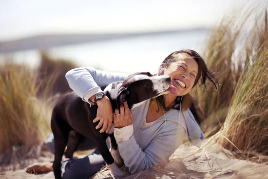 Asian woman on beach with dog licking her face. 