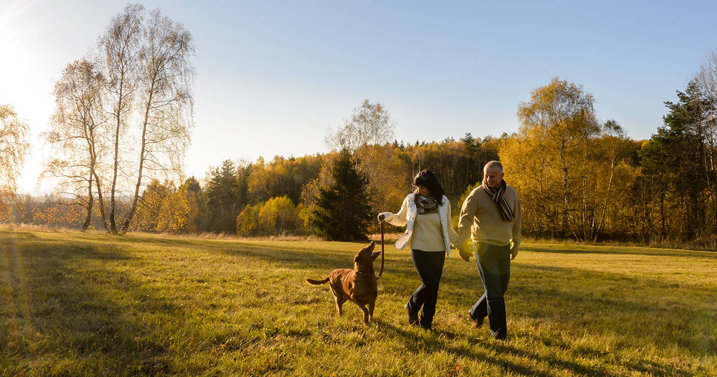 Couple walking dog in fall