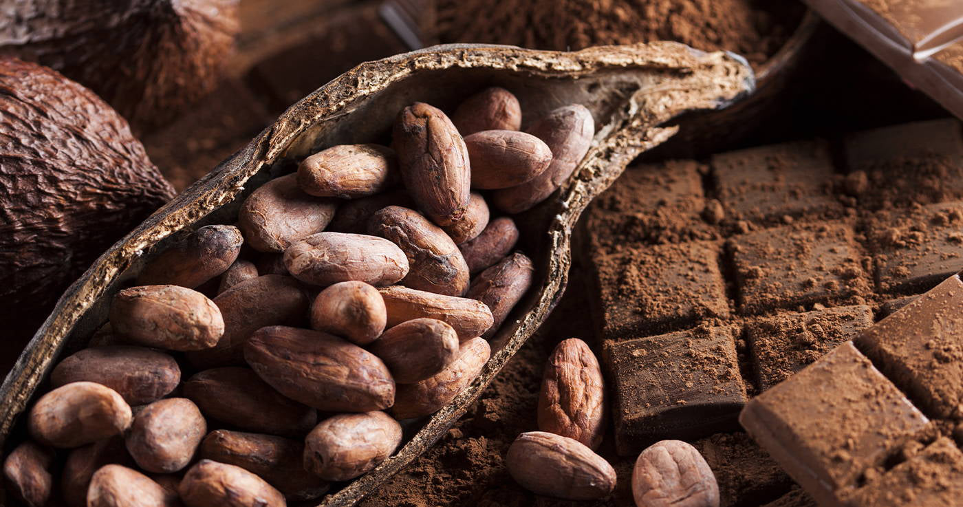 cocoa pod and chocolate